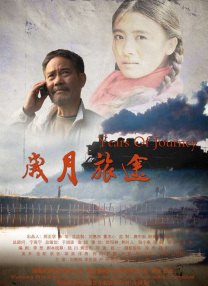 午夜伦全在线观看