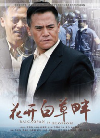 国内精品91久久久久