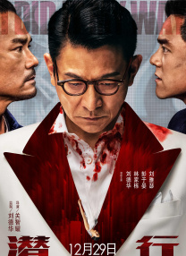 美足视频