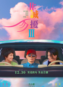 小镇姑娘bd电影完整版