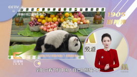 成人短视频完整版在线播放